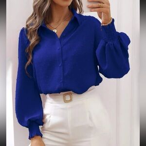 Luxe Swiss dot lantern sleeve button down blouse